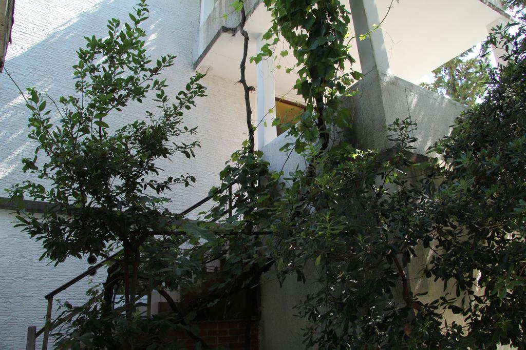Novalja Guesthouse Economy Rooms Екстериор снимка